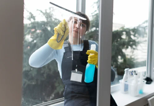 Nettoyage de vitres intérieures et extérieures à Eyburie